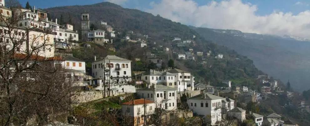 Traditional House Makrinitsa Exterior photo